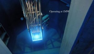 Coeur d'un réacteur nucléaire en fusion filmé dans une centrale !