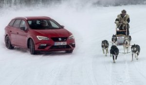 La Seat Leon Cupra ST affronte des huskies en Laponie