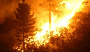 Un incendie dans le maquis blesse 5 pompiers en Corse