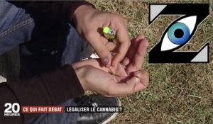 [Zap Télé] Pourquoi faudrait-il légaliser le cannabis ? (31/03/17)