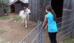 Cette jeune fille a une façon incroyable de communiquer avec son âne