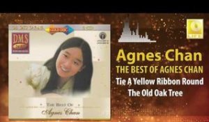 Agnes Chan - Tie A Yellow Ribbon Round The Old Oak Tree (Original Music Audio)