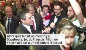 François Fillon enfariné avant son meeting à Strasbourg