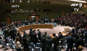 ONU: réunion sur la frappe américaine en Syrie