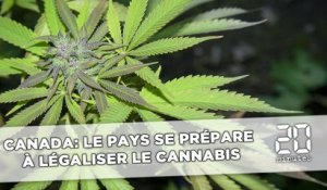Canada: Le pays se prépare à légaliser le cannabis