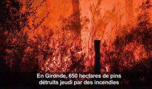 Médoc : un violent incendie ravage plus de 600 ha de forêt