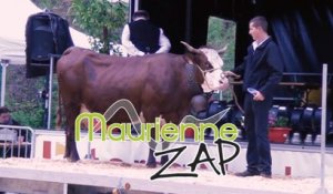 Maurienne Zap # 332