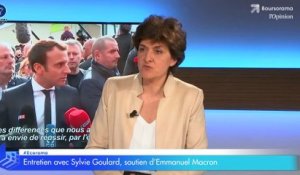 Sylvie Goulard (En Marche!): «Les retraites seraient impactées par une sortie de l'euro d'une manière massive»