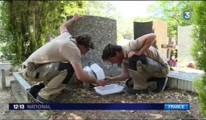 Santé : la lutte contre le moustique tigre commence