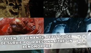 «Alien: Covenant»: petit guide de survie pour reconnaître un xénomorphe