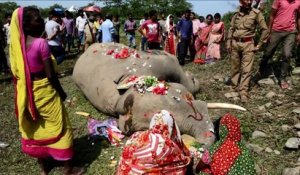 Inde: un éléphant tué par un train près de Siliguri
