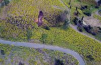 Un drone filme un aigle en train de planer