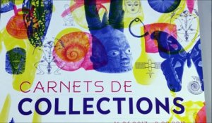 Émission spéciale au Musée des Confluences de Lyon - "Carnets de collections"