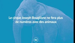Le cirque Joseph Bouglione ne fera plus de numéros avec des animaux