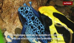 Le biomimétisme selon Idriss Aberkane #16 - La bio-inspiration animale