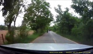 Ce motard s'arrette pour sauver un serpent au milieu de la route...