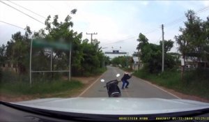Ce motard attrape à mains nues un serpent sur la route !