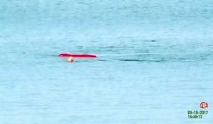 Tranquille sur son kayak, il se fait attaquer par un requin blanc