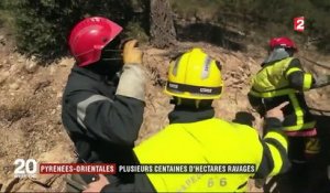 Pyrénées-Orientales : plusieurs centaines d’hectares ravagés