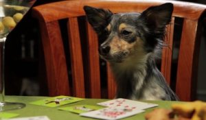 D'adorables dessins de chiens décorent ces cartes à jouer vraiment originales