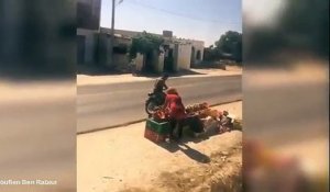 Quand un conducteur de train arrete sa locomotive pour acheter des peches... Vive la tunisie