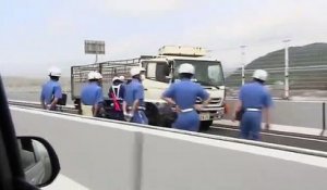 Des cochons sèment la pagaille sur une autoroute de chine