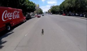 Un cycliste course un chien au milieu de la route à Mexico