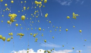 Un lâcher de ballons très suivi pour soutenir Clémence dans son combat contre la maladie