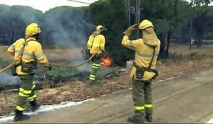 VIDEOS. Espagne : au moins 1 800 personnes évacuées à la suite d'un incendie dans le parc naturel de Doñana