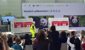 Deux pandas "ambassadeurs" de la Chine débarquent à Berlin
