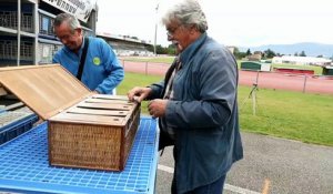 Tour de France des Colombophiles : lâcher de pigeons au stade Guillermoz