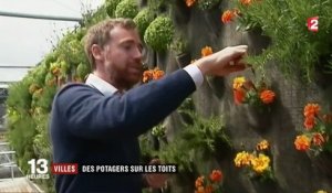 Tendance : des potagers sur les toits