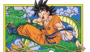 Dragon Ball Super (EN SUB) : interview exclusive avec le dessinateur Toyotaro
