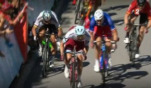 Tour de France - Regardez le geste du champion du monde, le Slovaque Peter Sagan, qui a provoqué son exclusion ce soir