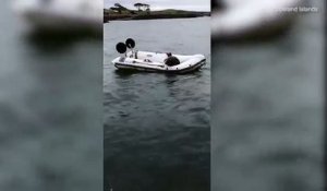 Un phoque est repéré en train de naviguer dans un canot