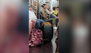 Un chien prend le métro dans une valise !