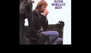 King Biscuit Boy - Best Of - You Done Tore Your Playhouse Down Again