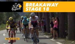 54 coureurs dans l'échappée / 54 riders in the breakaway group - Étape 18 / Stage 18 - Tour de France 2017