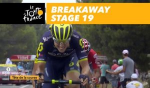 Cassure dans le peloton / Echelon in the breakaway - Étape 19 / Stage 19 - Tour de France 2017