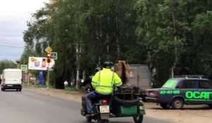 Un ours parade à bord d'un side car
