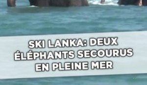 Sri Lanka: Deux éléphants secourus en pleine mer