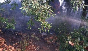 Corse : les pompiers luttent toujours contre les incendies