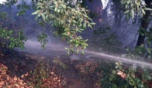 Corse : les pompiers luttent toujours contre les incendies