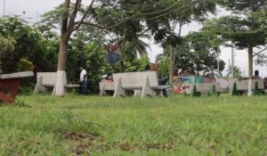 L'INSTANT ECOLO AVEC LE MAGNIFIC  - Respectons nos espaces verts