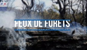 Lutte contre les feux de forêts dans le Sud-Est de la France