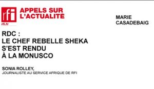 RDC : le chef rebelle Sheka s'est rendu à la MONUSCO