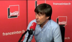 Nicolas Hulot sur l'abattage des loups : "Cet arrêté ne me satisfait pas parce qu'il ne règle rien"