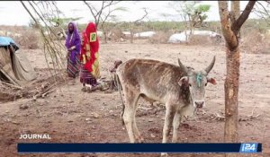 Environnement: depuis aujourd'hui, l'humanité vit à crédit