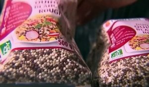 Agriculture : le succès du quinoa d'Anjou