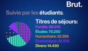 3 chiffres sur l’immigration en France